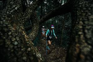 BIB: 
                            <button type="button" onclick="openModal(25689323)" class="btn btn-primary btn-sm float-right btn-popup" data-toggle="modal" data-target=".modal-high-quality">
                        <i class="fas fa-shopping-cart"></i> Add to Cart
                    </button>
                                            <button type="button" onclick="isThisMe(25689323, true)" class="btn btn-success btn-sm float-right btn-popup btn-isme hidden" data-toggle="tooltip" data-placement="bottom" title="นี่คือรูปของคุณใช่ไหม คลิกที่นี่เพื่อเอาเข้าอัลบั้ม">
                        <i class="fas fa-plus"></i> Add to album
                    </button>
                    <button type="button" onclick="isThisMe(25689323, false)" class="btn btn-warning btn-sm float-right btn-popup btn-isnotme hidden">
                        <i class="fas fa-ban"></i> Remove from album
                    </button>